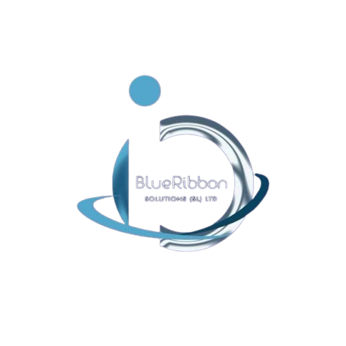 BlueRibbon Solutions